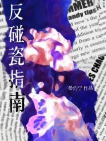 反碰瓷指南txt