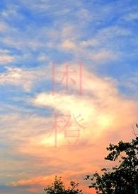 困城(男出轨)结局葡观川