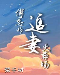 傅总的追妻火葬场里林恩筱