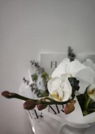 我的未婚妻有点多