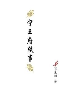 宁王府轶事全文阅读