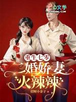 重生七零二婚妻txt