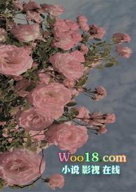 被迫攻略满级boss