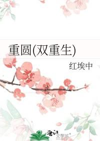 双重生原耽推文