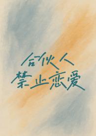 合伙人制度在线阅读
