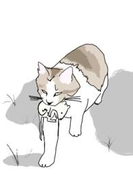 十八线男星照片