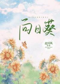 向日葵a股股东户数增加