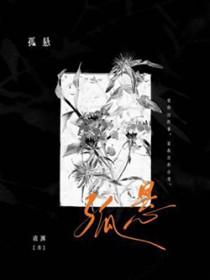 孤悬塞外