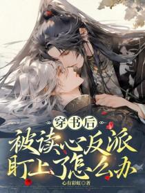 穿书后被反派大佬觊觎了无弹窗