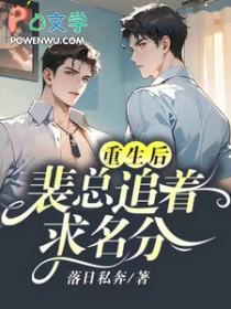 裴总的追妻之旅