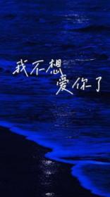 我不想爱你了by李不火简介