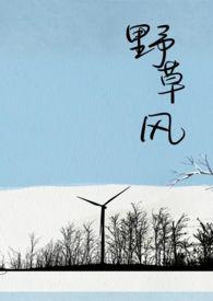 野火风短剧全集免费观看