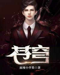 苍穹天引免费阅读全文
