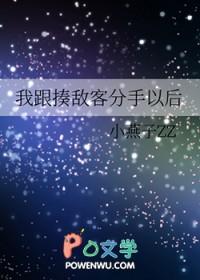 揍敌客穿越综漫