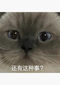 重生回强上男主的后一天作者棠月最新章节