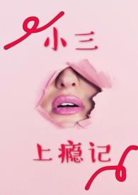 小三上瘾记免费阅读轮流