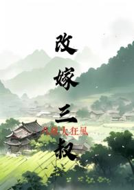 改嫁三叔 作者八级大狂风