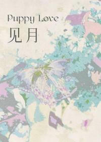 当先实脾什么意思