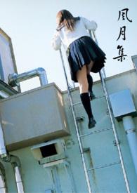 风月主要讲什么