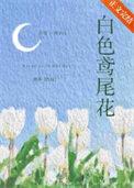白色鸢尾花的寓意和象征意义
