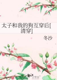 清穿太子妃和太子互换