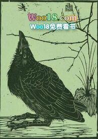 空壳企业的认定标准