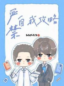 严禁自我攻略by么么讲的什么