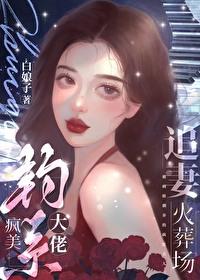 疯美钓系大佬追妻火葬场by白娘子