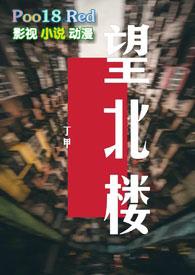 望北楼的肖神童