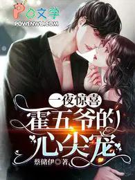 第一章 一夜惊喜