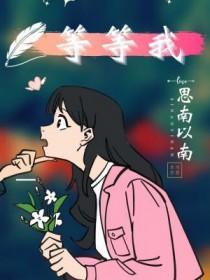 歌曲妹妹等等我