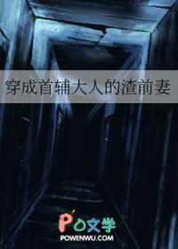 穿成首辅大人的渣前妻作者一条兰寿