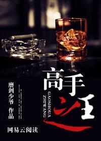 高手之王什么意思