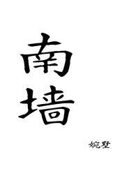 南墙