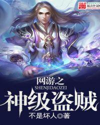 网游之神级盗贼角色介绍