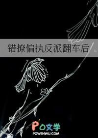 错撩偏执反派后我甩不掉了