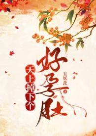 天上掉下个好孕肚(慢穿)简介