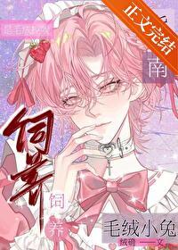 毛绒兔子叫什么名字