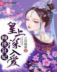 倾世皇妃完整版