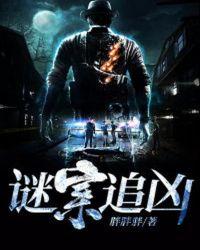 谜案追凶TXT