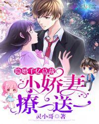 隐婚甜蜜蜜 总裁 超疼爱