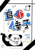 追个锤子格格党