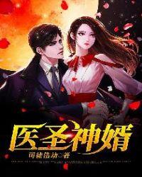 圣医神婿免费全文
