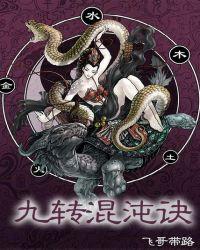 九转混沌诀顶点