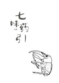 七味包括什么