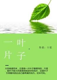一片叶子的旅程彩票