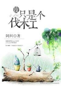 熊出没之木头