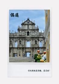 偶遇汪峰森林北济州岛度假