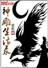 神雕影视