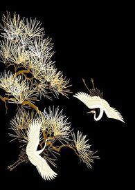 涅槃烬余录短剧在线播放